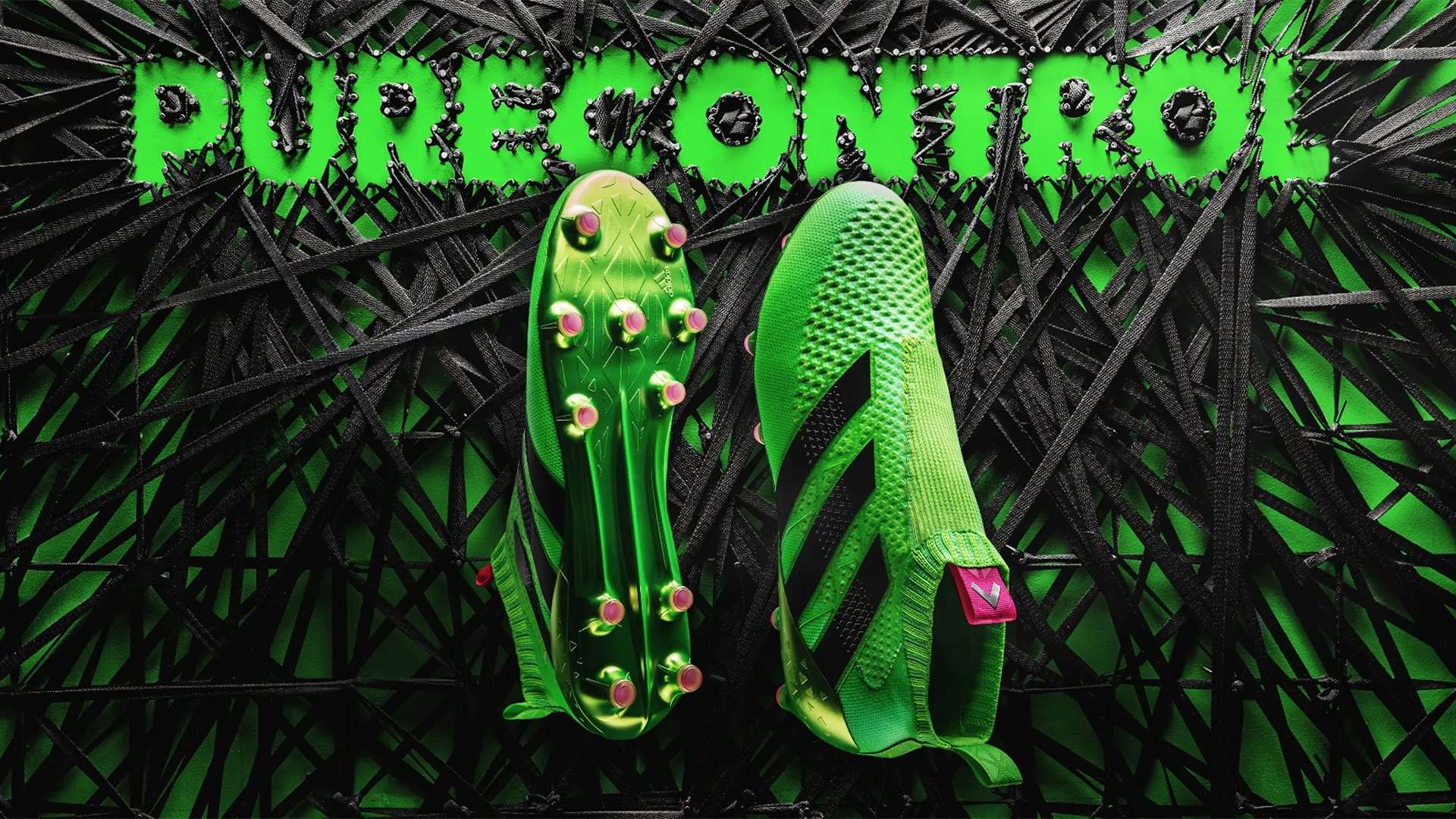 这也为他们 这也为他们